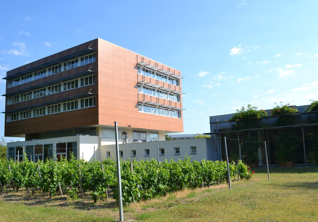 Hotel De Guyenne Таланс Екстериор снимка
